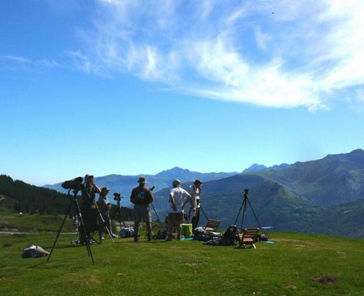Observation des oiseaux Hautes Pyrénées