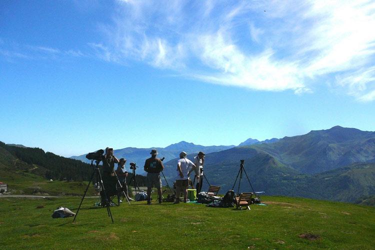 Observation des oiseaux Hautes Pyrénées