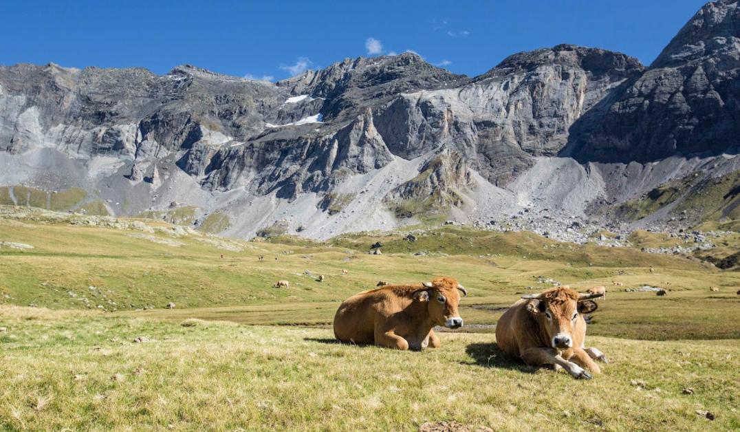 Cirque de Troumouse_Vallée de Gavarnie