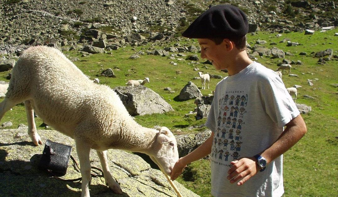 Rencontres au détour d'un sentier de randonnée