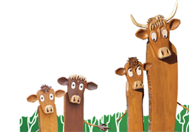illustration représentant des vaches